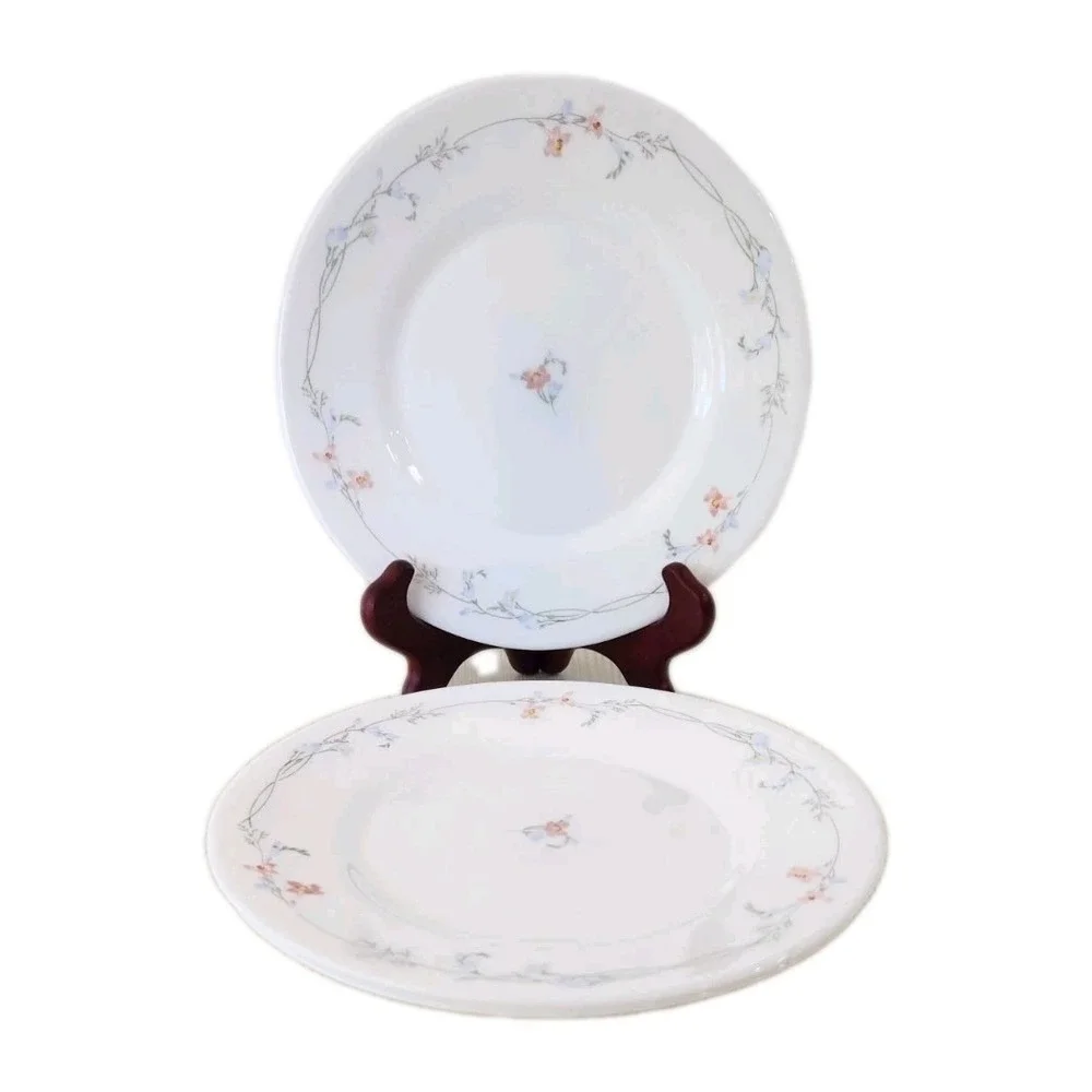Arcopal France Odessa Salad Plate Blue & Pink Flowers White, Set Of 3